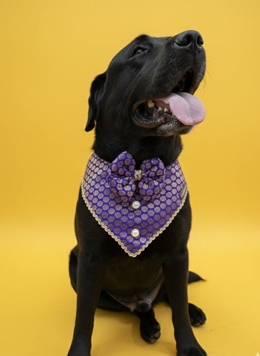 LuckyPaws Ethnic Bandana Purple Colour