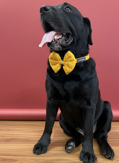 LuckyPaws Ethnic Yellow Bow