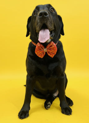 LuckyPaws Ethnic Red Bow