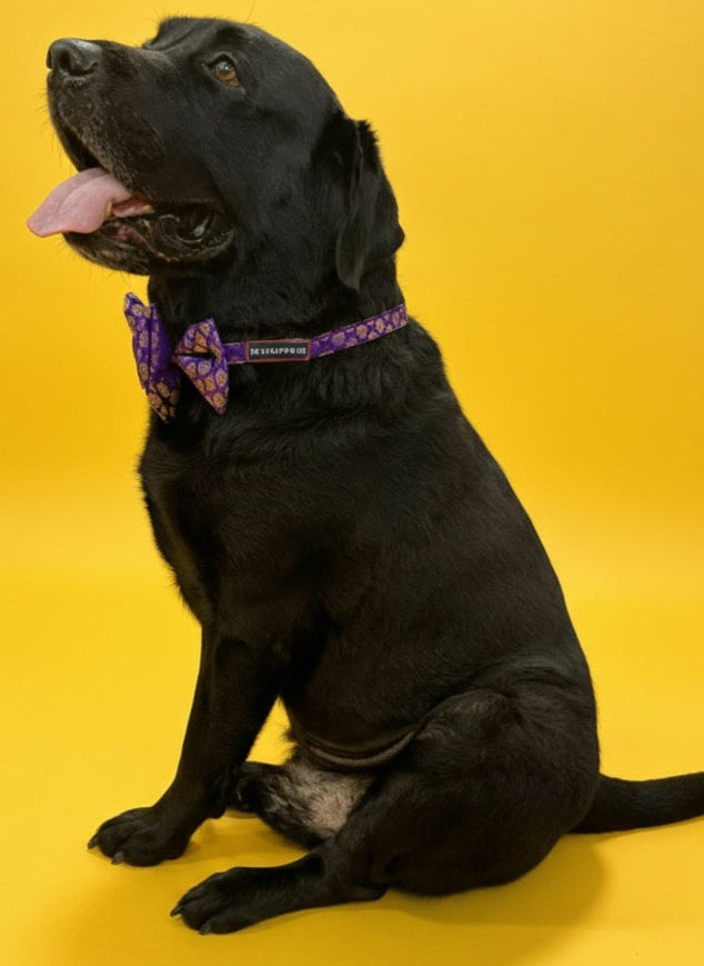 LuckyPaws Ethnic Purple Bow