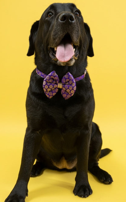 LuckyPaws Ethnic Purple Bow
