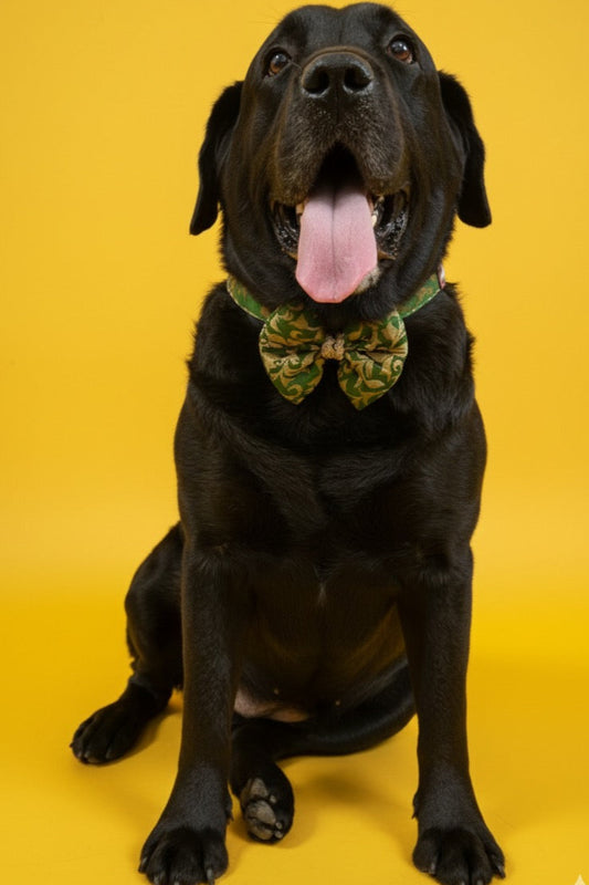 LuckyPaws Ethnic Green Bow