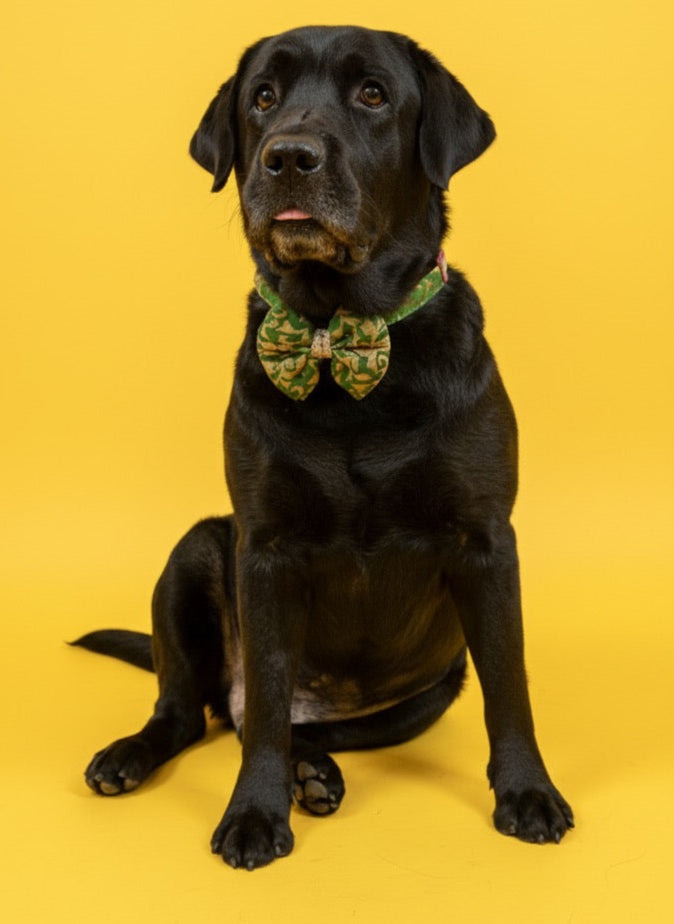 LuckyPaws Ethnic Green Bow
