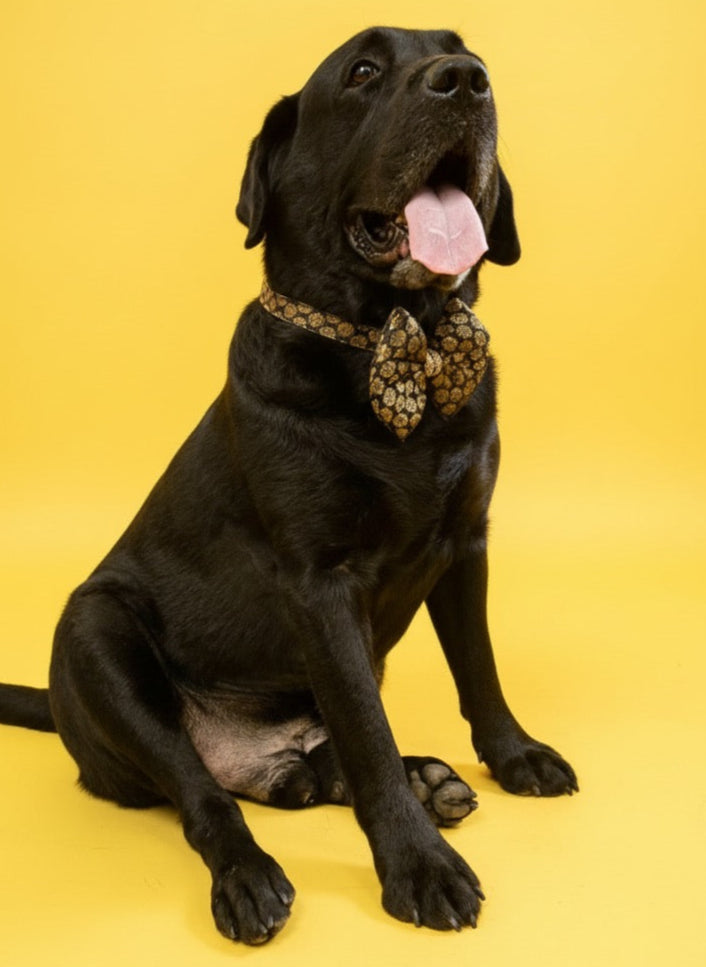 LuckyPaws Ethnic Black Bow