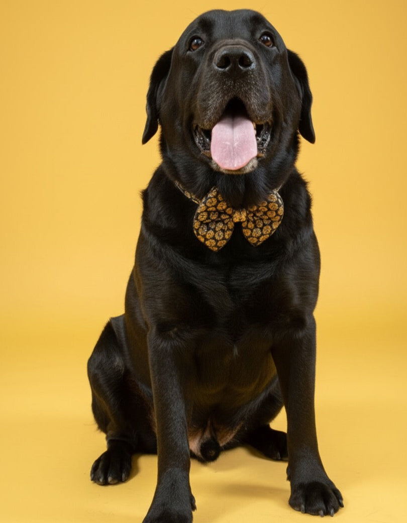 LuckyPaws Ethnic Black Bow