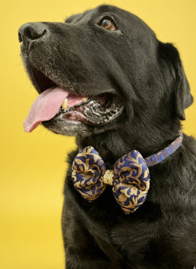 LuckyPaws Ethnic Neavy Blue Bow