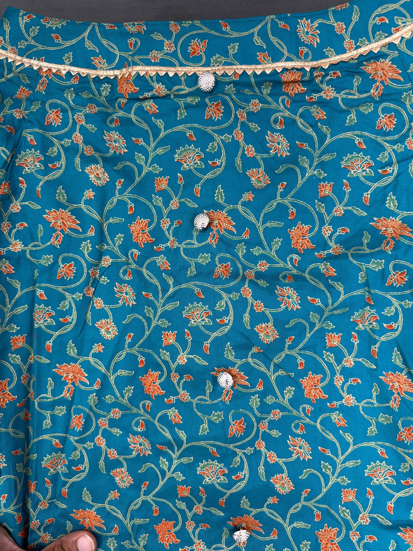 LuckyPaws  Ethnic Kurta Blue Colour