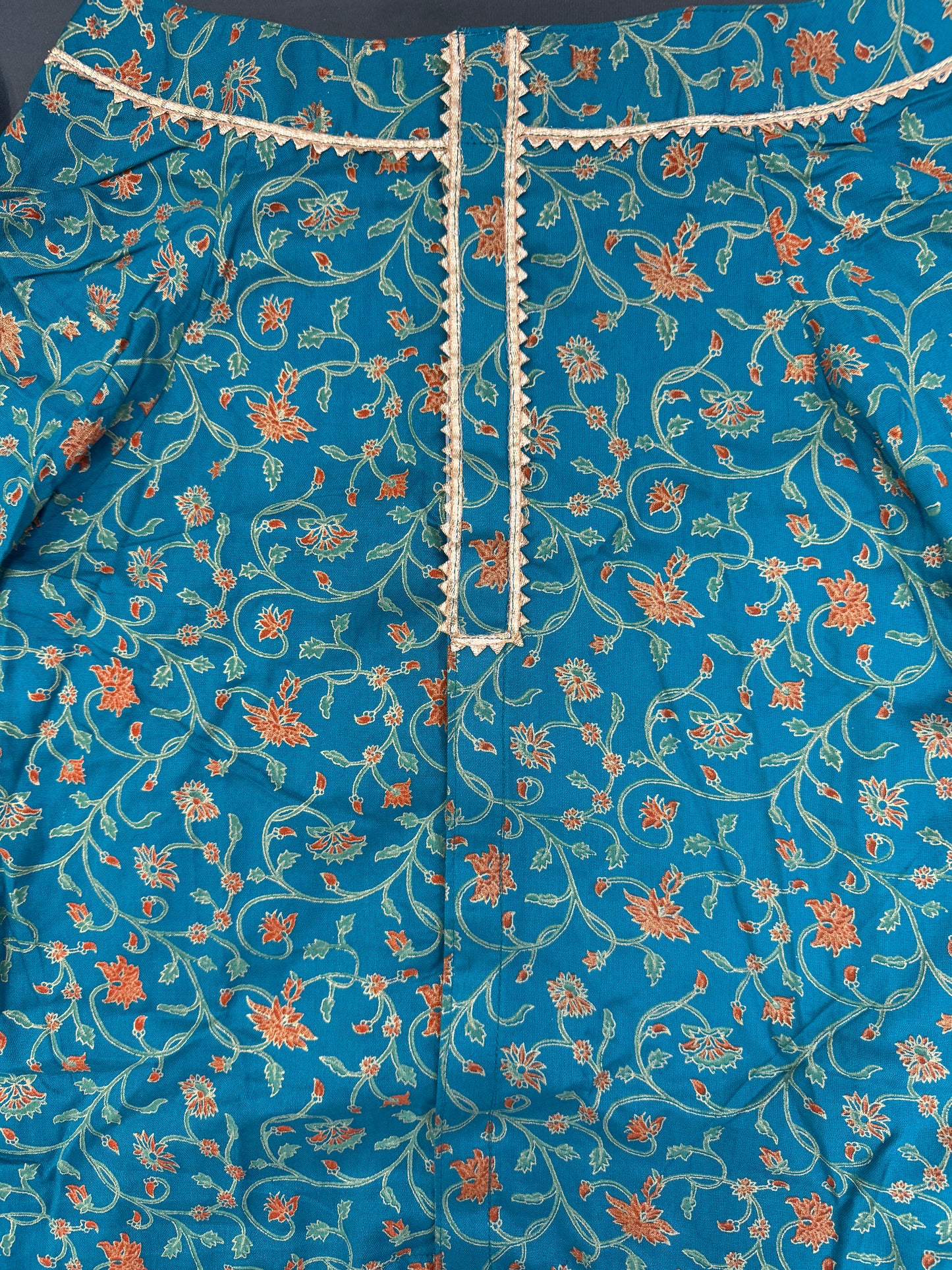LuckyPaws  Ethnic Kurta Blue Colour