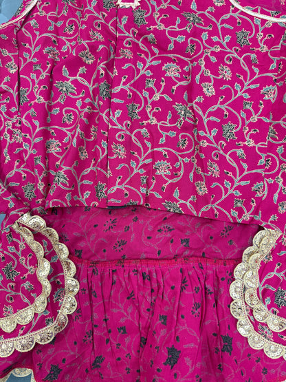 LuckyPaws Ethnic  Frock Rani Pink Colour
